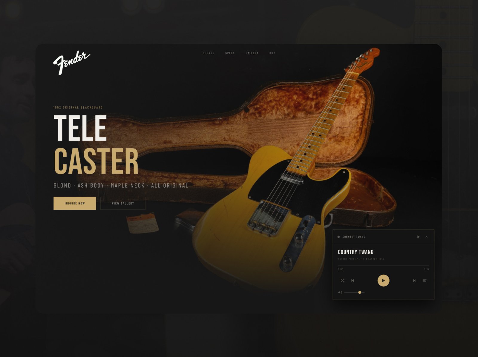 Fender Telecaster landing page design by Eduardo Zapata
